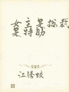 女主是总裁男主是特助