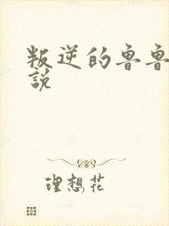 叛逆的鲁鲁修小说