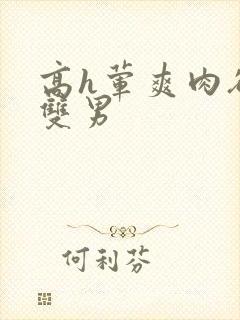 高h荤爽肉欲文双男