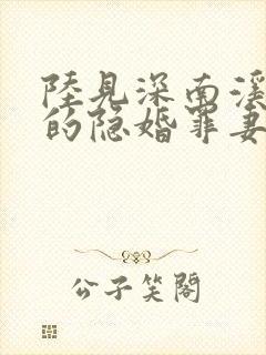 陆见深南溪陆少的隐婚罪妻