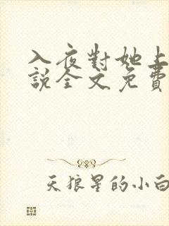 入夜对她上瘾小说全文免费阅读笔趣阁免费封面