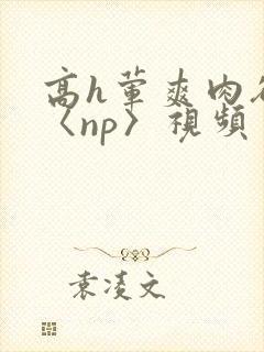 高h荤爽肉欲文〈np〉视频