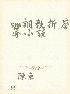 sm调教折磨羞辱小说