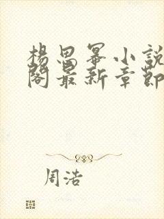 杨思幂小说笔趣阁最新章节