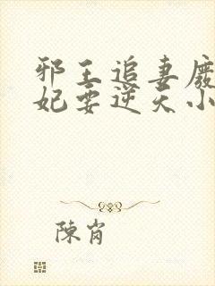 邪王追妻废材狂妃要逆天小说