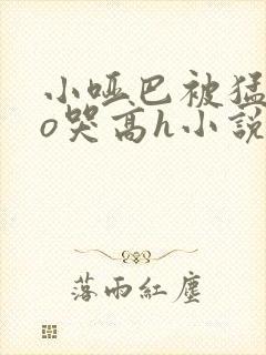 小哑巴被猛cao哭高h小说在线阅读