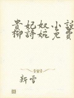 贵妃奴小说by柳诗婉免费阅读笔趣阁