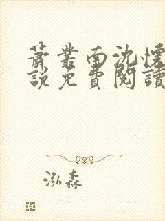 萧丛南沈怀清小说免费阅读最新章节列表封面