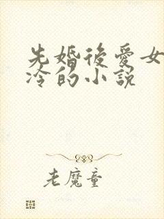 先婚后爱女主清冷的小说