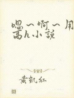 嗯～啊～用力～高h小说