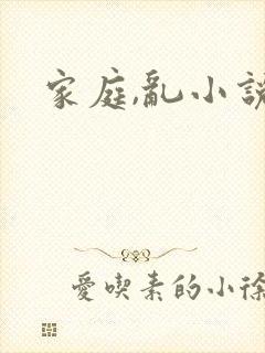 家庭,乱小说