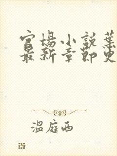 官场小说叶明昊最新章节更新