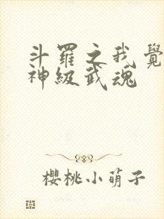 斗罗之我觉醒了神级武魂