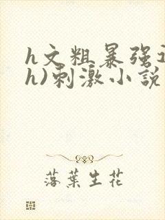 h文粗暴强迫(h)刺激小说封面