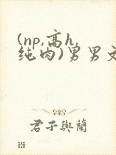 (np,高h,纯肉)男男文