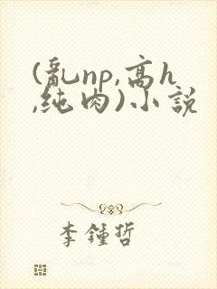 (乱np,高h,纯肉)小说