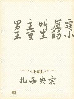 男主叫厉霆骁女主重生的小说