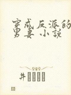 穿成反派的炮灰男妻 小说