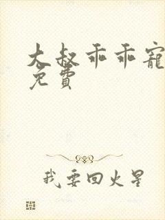 大叔乖乖宠我 免费封面