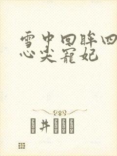 雪中回眸四爷的心尖宠妃