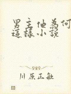 男主他为何总是这样小说