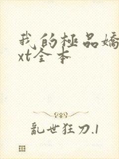 我的极品娇妻txt全本