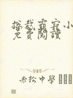 总裁霸宠小甜妻免费阅读