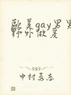 欧美gay男男野外做爰