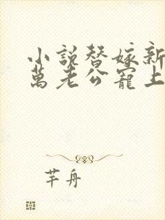 小说替嫁新娘亿万老公宠上天封面