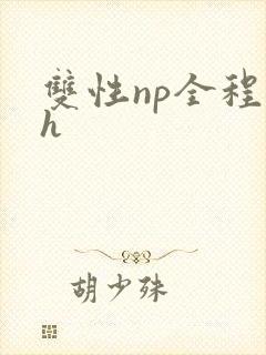 双性np全程高h