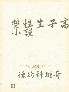 双性生子高h的小说