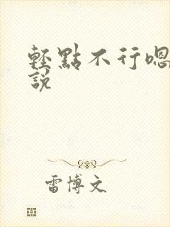 轻点不行嗯啊小说封面