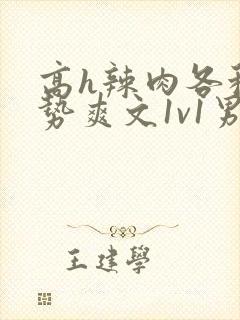 高h辣肉各种姿势爽文1v1男男