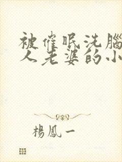 被催眠洗脑成别人老婆的小说