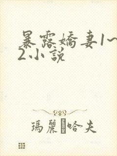 暴露娇妻1~12小说