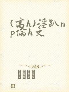 (高h)淫趴np伦h文