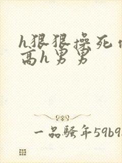 h狠狠操死你h高h男男