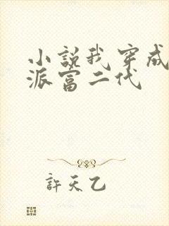 小说我穿成了反派富二代封面