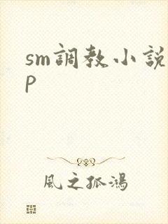 sm调教小说sp