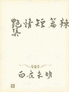 艳情短篇辣文合集