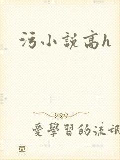 污小说高h