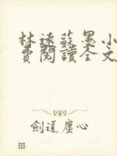 林远苏墨小说免费阅读全文最新章节