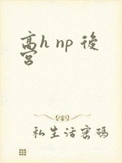 高h np 后宫