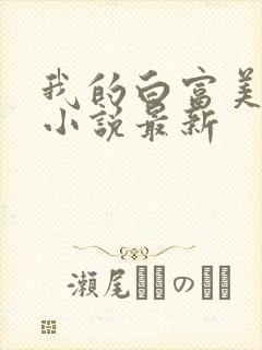 我的白富美老婆小说最新