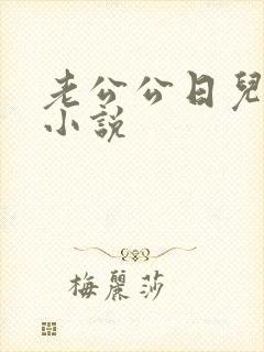 老公公日儿媳妇小说封面