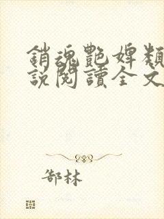 销魂艳婢类似小说阅读全文笔趣