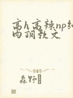 高h高辣np纯肉调教文封面