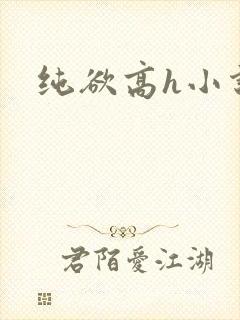 纯欲高h小说