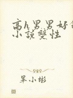 高h男男好舒服小说双性