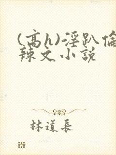 (高h)淫趴伦辣文小说